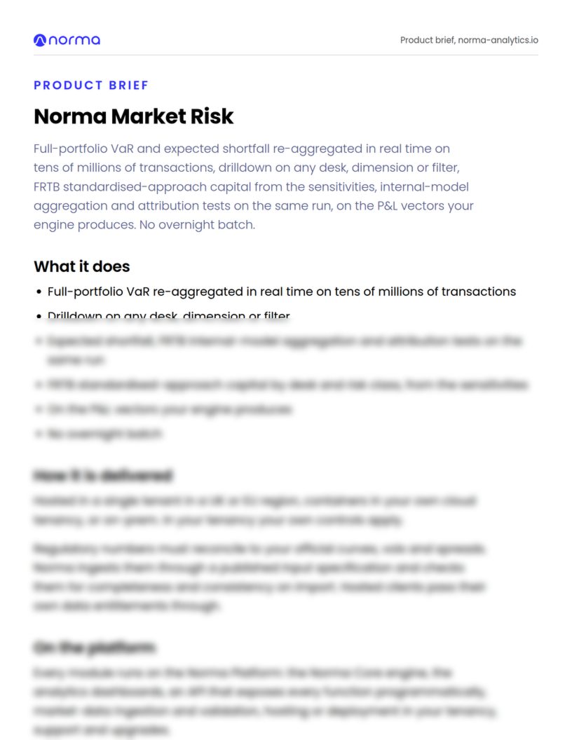 First page of the Norma Market Risk product brief, preview